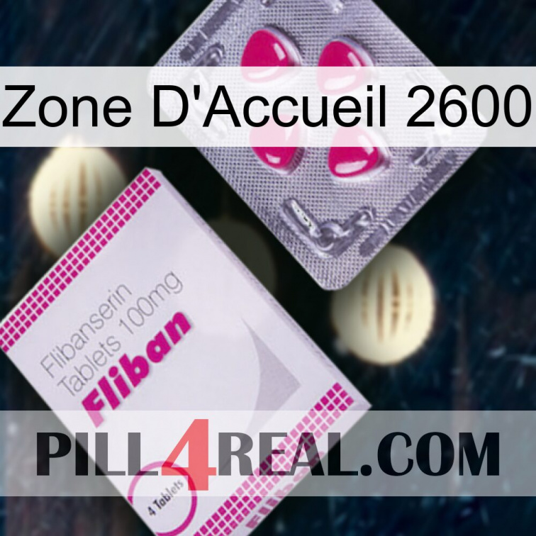 Home Zone 2600 32